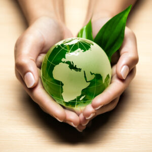 Vegane und vegetarische Partnersuche, Freunde finden, Projekte und Gemeinschaften für Vegetarier und Veganer. 